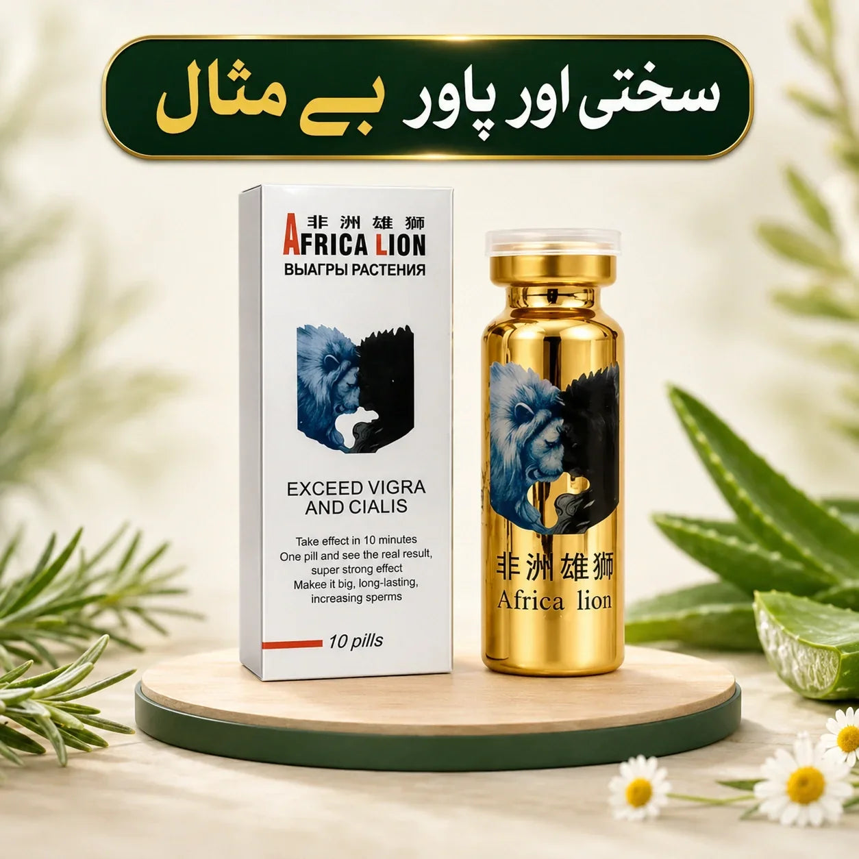 HC – EVC 10